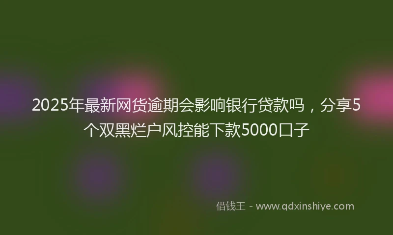 2025年最新网货逾期会影响银行贷款吗，分享5个双黑烂户风控能下款5000口子