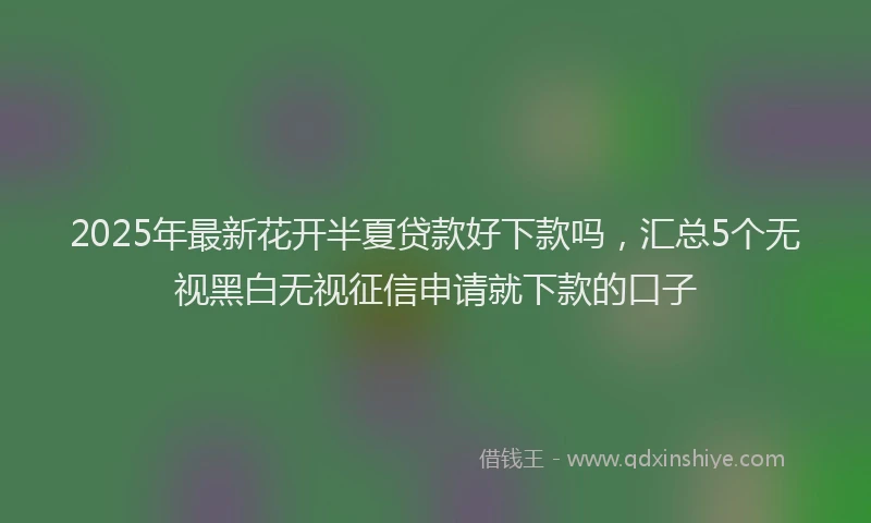 2025年最新花开半夏贷款好下款吗，汇总5个无视黑白无视征信申请就下款的口子