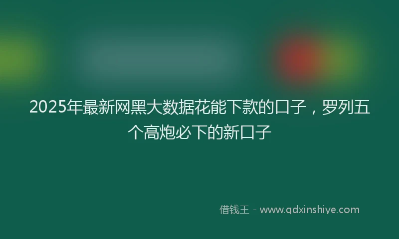 2025年最新网黑大数据花能下款的口子，罗列五个高炮必下的新口子