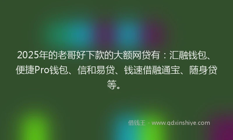 2025年的老哥好下款的大额网贷有：汇融钱包、便捷Pro钱包、信和易贷、钱速借融通宝、随身贷等。