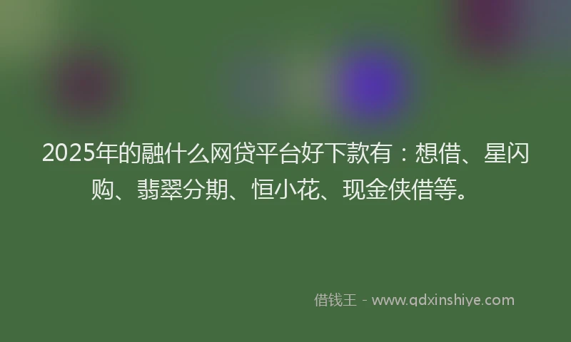 2025年的融什么网贷平台好下款有：想借、星闪购、翡翠分期、恒小花、现金侠借等。