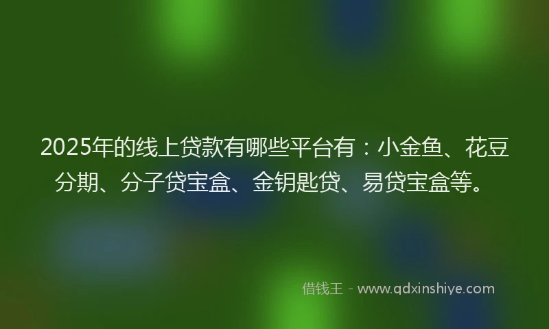 2025年的线上贷款有哪些平台有：小金鱼、花豆分期、分子贷宝盒、金钥匙贷、易贷宝盒等。