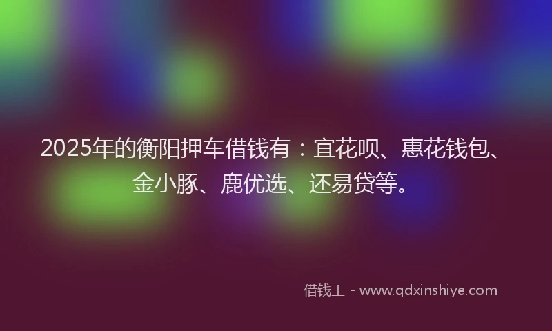 2025年的衡阳押车借钱有：宜花呗、惠花钱包、金小豚、鹿优选、还易贷等。