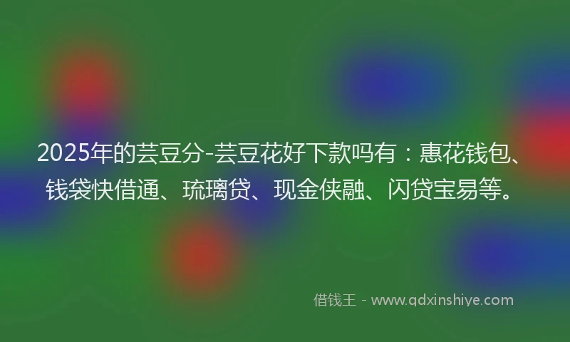 2025年的芸豆分-芸豆花好下款吗有：惠花钱包、钱袋快借通、琉璃贷、现金侠融、闪贷宝易等。