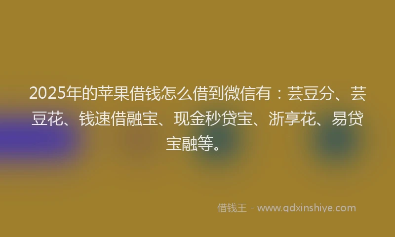 2025年的苹果借钱怎么借到微信有：芸豆分、芸豆花、钱速借融宝、现金秒贷宝、浙享花、易贷宝融等。