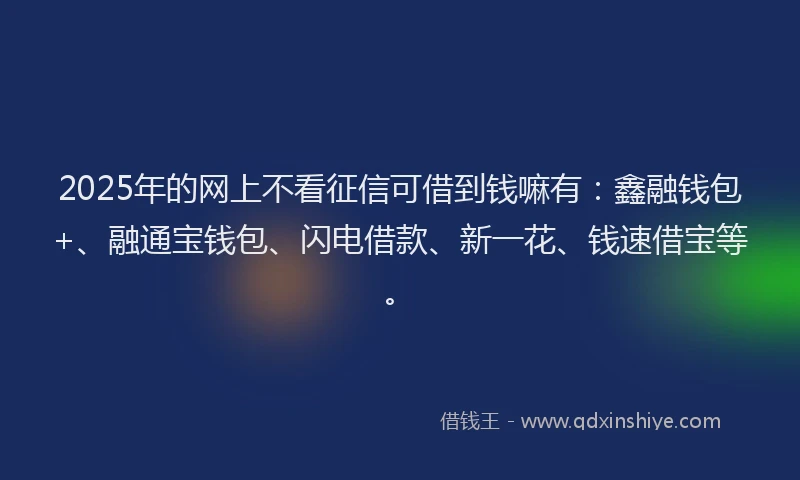 2025年的网上不看征信可借到钱嘛有：鑫融钱包+、融通宝钱包、闪电借款、新一花、钱速借宝等。