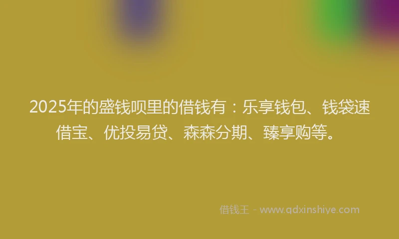 2025年的盛钱呗里的借钱有：乐享钱包、钱袋速借宝、优投易贷、森森分期、臻享购等。