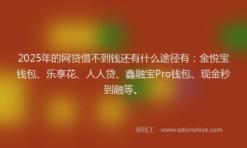 2025年的网贷借不到钱还有什么途径有：金悦宝钱包、乐享花、人人贷、鑫融宝Pro钱包、现金秒到融等。