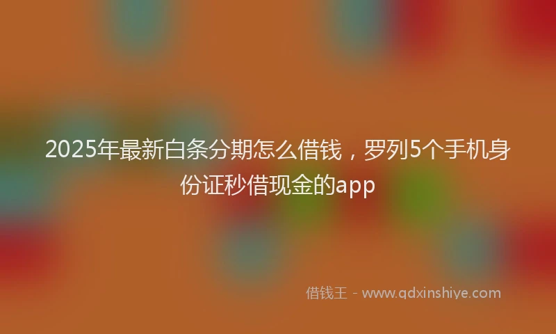 2025年最新白条分期怎么借钱，罗列5个手机身份证秒借现金的app