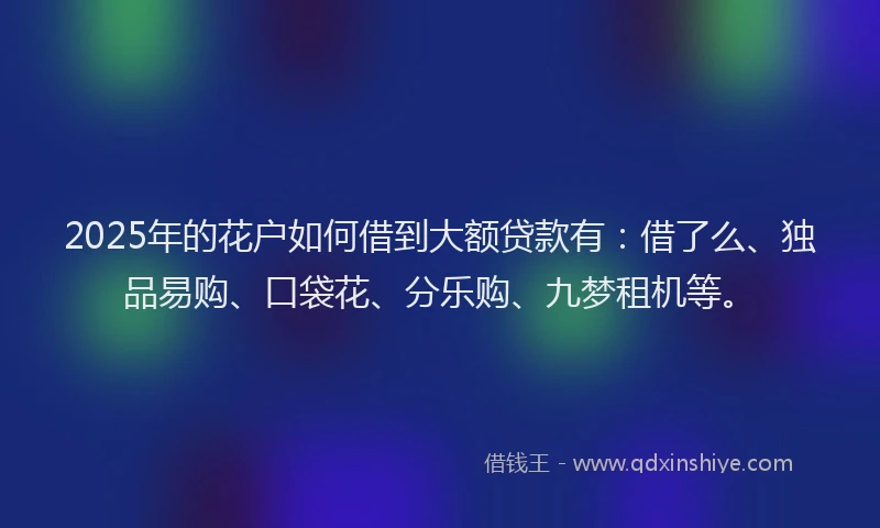 2025年的花户如何借到大额贷款有：借了么、独品易购、口袋花、分乐购、九梦租机等。