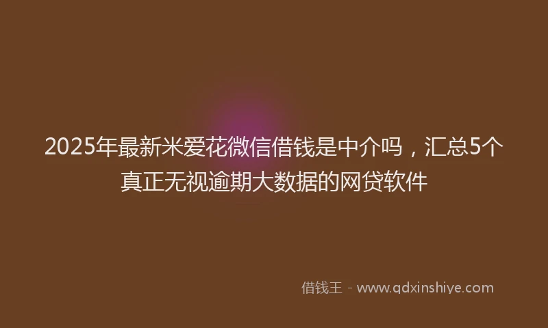 2025年最新米爱花微信借钱是中介吗，汇总5个真正无视逾期大数据的网贷软件