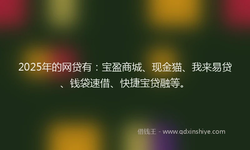 2025年的网贷有：宝盈商城、现金猫、我来易贷、钱袋速借、快捷宝贷融等。