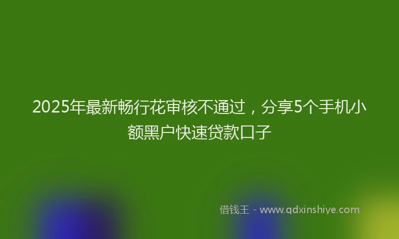 2025年最新畅行花审核不通过，分享5个手机小额黑户快速贷款口子