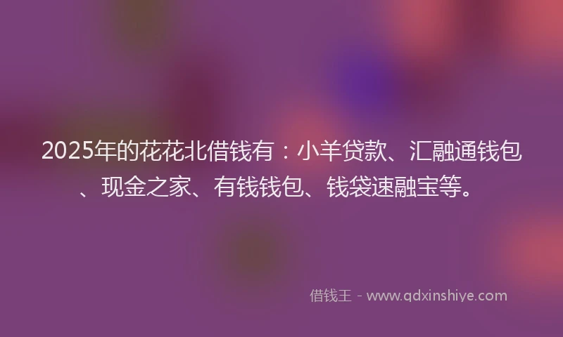 2025年的花花北借钱有：小羊贷款、汇融通钱包、现金之家、有钱钱包、钱袋速融宝等。