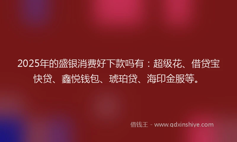 2025年的盛银消费好下款吗有：超级花、借贷宝快贷、鑫悦钱包、琥珀贷、海印金服等。