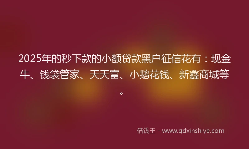 2025年的秒下款的小额贷款黑户征信花有：现金牛、钱袋管家、天天富、小鹅花钱、新鑫商城等。
