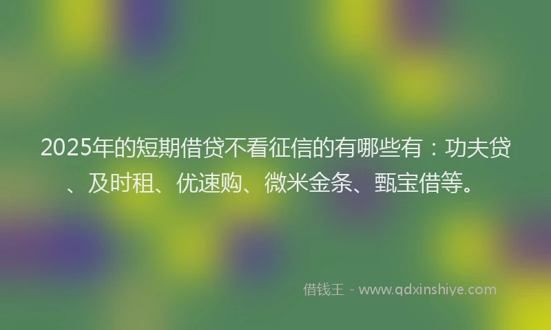 2025年的短期借贷不看征信的有哪些有：功夫贷、及时租、优速购、微米金条、甄宝借等。