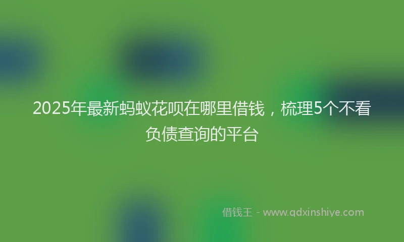 2025年最新蚂蚁花呗在哪里借钱，梳理5个不看负债查询的平台