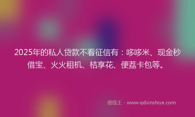 2025年的私人贷款不看征信有：哆哆米、现金秒借宝、火火租机、桔享花、便荔卡包等。