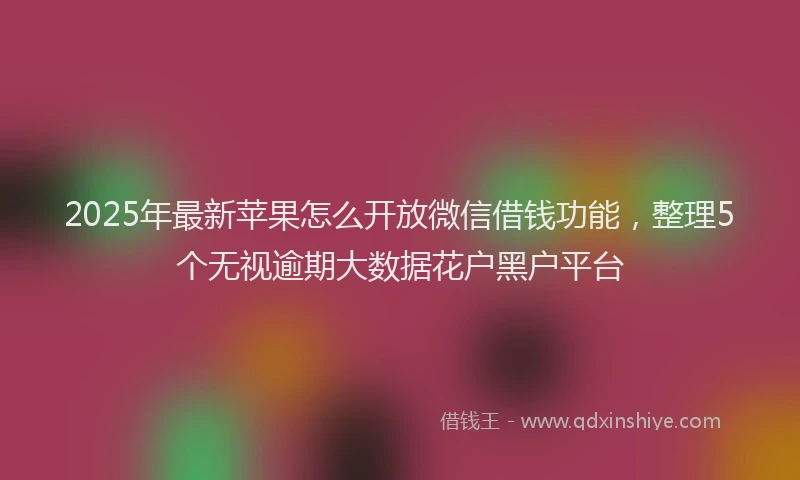 2025年最新苹果怎么开放微信借钱功能，整理5个无视逾期大数据花户黑户平台