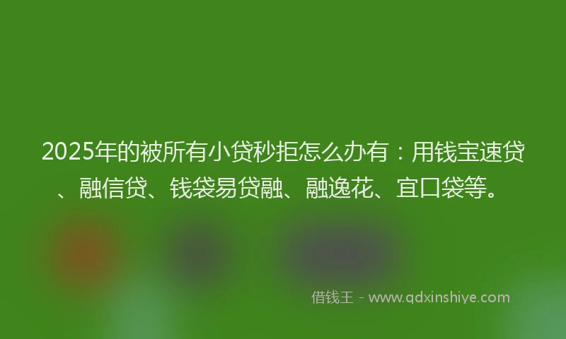 2025年的被所有小贷秒拒怎么办有：用钱宝速贷、融信贷、钱袋易贷融、融逸花、宜口袋等。