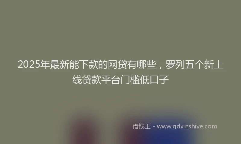 2025年最新能下款的网贷有哪些，罗列五个新上线贷款平台门槛低口子
