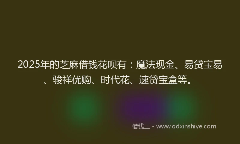 2025年的芝麻借钱花呗有：魔法现金、易贷宝易、骏祥优购、时代花、速贷宝盒等。