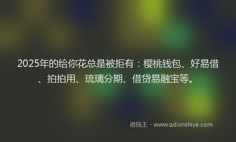 2025年的给你花总是被拒有：樱桃钱包、好易借、拍拍用、琉璃分期、借贷易融宝等。