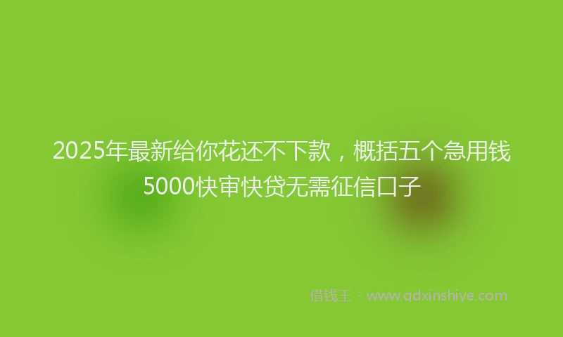 2025年最新给你花还不下款，概括五个急用钱5000快审快贷无需征信口子