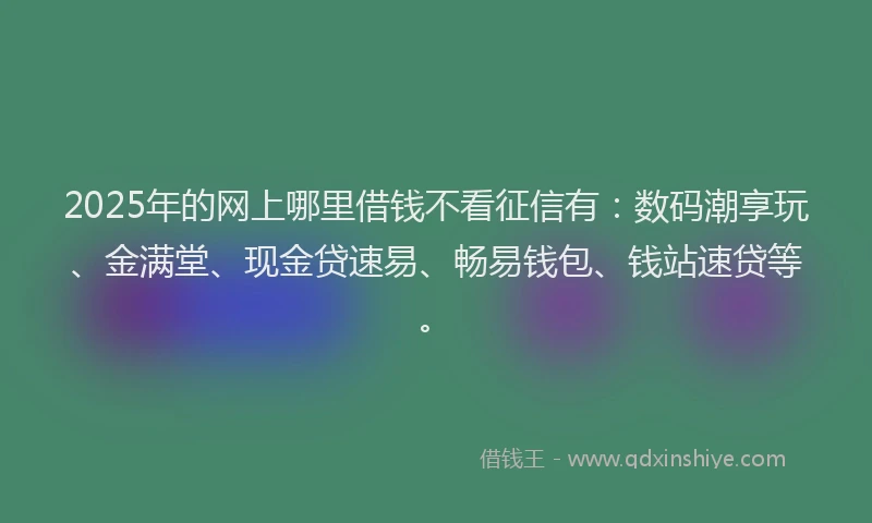 2025年的网上哪里借钱不看征信有：数码潮享玩、金满堂、现金贷速易、畅易钱包、钱站速贷等。
