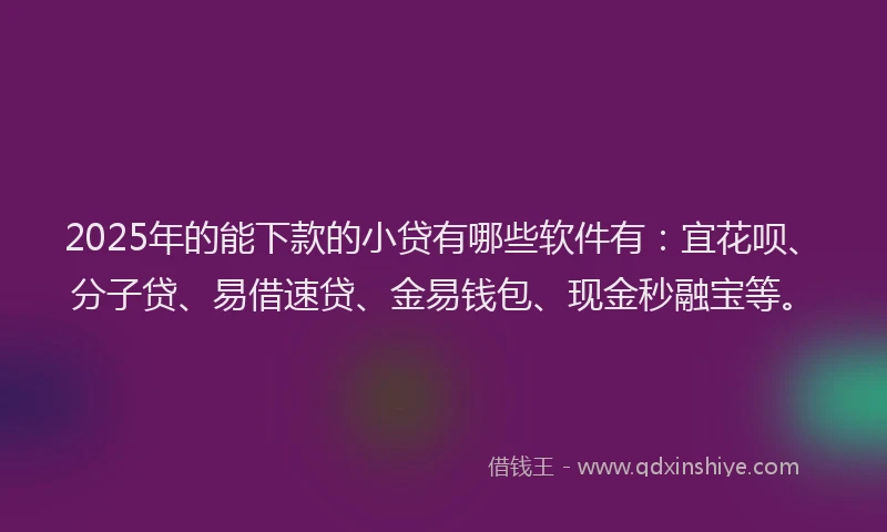 2025年的能下款的小贷有哪些软件有：宜花呗、分子贷、易借速贷、金易钱包、现金秒融宝等。
