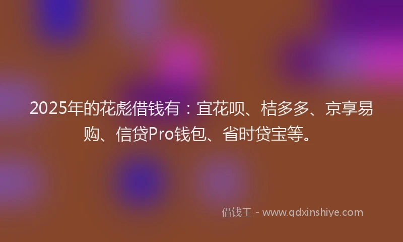 2025年的花彪借钱有：宜花呗、桔多多、京享易购、信贷Pro钱包、省时贷宝等。