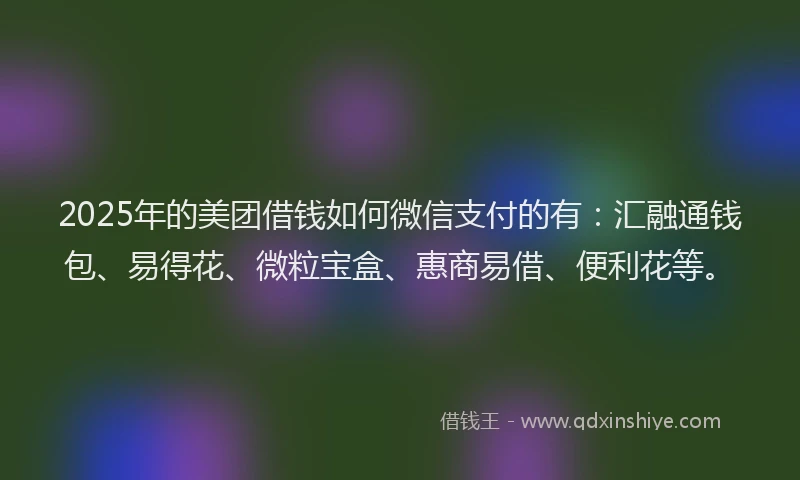 2025年的美团借钱如何微信支付的有：汇融通钱包、易得花、微粒宝盒、惠商易借、便利花等。