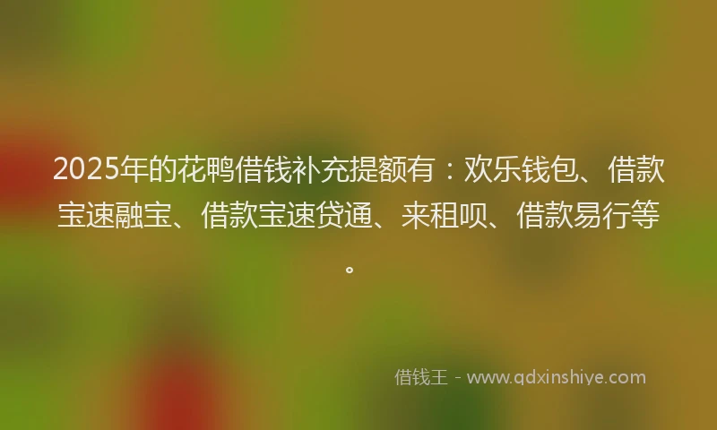 2025年的花鸭借钱补充提额有：欢乐钱包、借款宝速融宝、借款宝速贷通、来租呗、借款易行等。