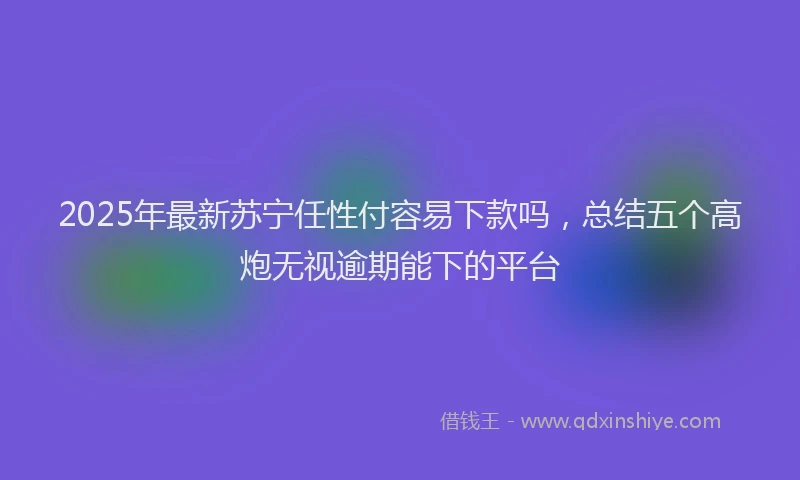 2025年最新苏宁任性付容易下款吗，总结五个高炮无视逾期能下的平台