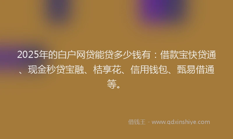 2025年的白户网贷能贷多少钱有：借款宝快贷通、现金秒贷宝融、桔享花、信用钱包、甄易借通等。
