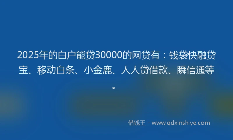 2025年的白户能贷30000的网贷有：钱袋快融贷宝、移动白条、小金鹿、人人贷借款、瞬信通等。