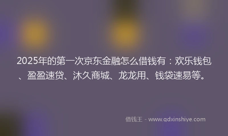 2025年的第一次京东金融怎么借钱有：欢乐钱包、盈盈速贷、沐久商城、龙龙用、钱袋速易等。