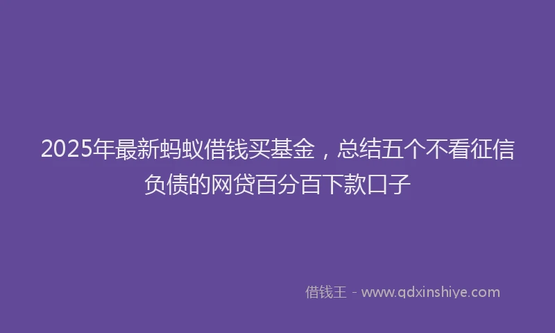 2025年最新蚂蚁借钱买基金，总结五个不看征信负债的网贷百分百下款口子