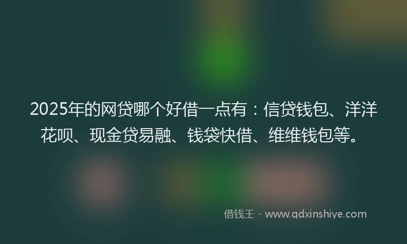 2025年的网贷哪个好借一点有：信贷钱包、洋洋花呗、现金贷易融、钱袋快借、维维钱包等。