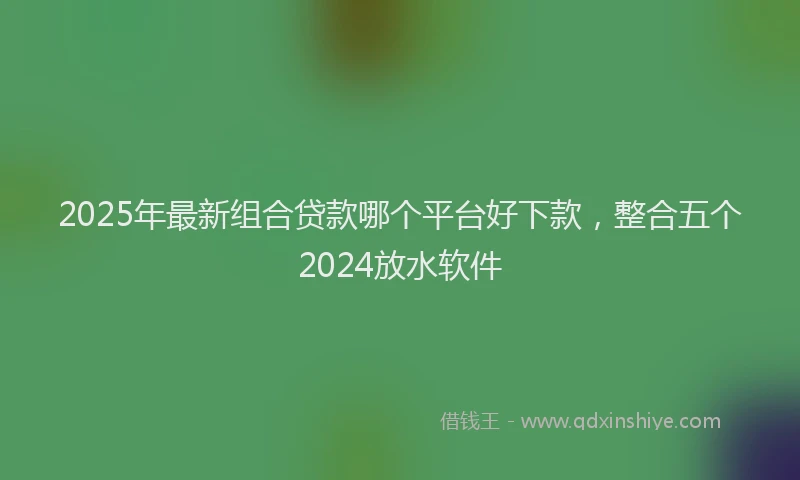 2025年最新组合贷款哪个平台好下款，整合五个2024放水软件