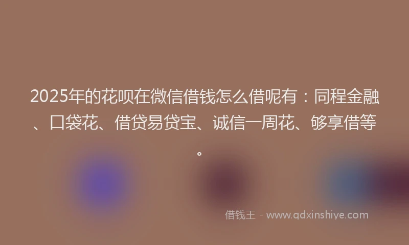 2025年的花呗在微信借钱怎么借呢有：同程金融、口袋花、借贷易贷宝、诚信一周花、够享借等。