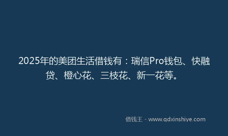 2025年的美团生活借钱有：瑞信Pro钱包、快融贷、橙心花、三枝花、新一花等。