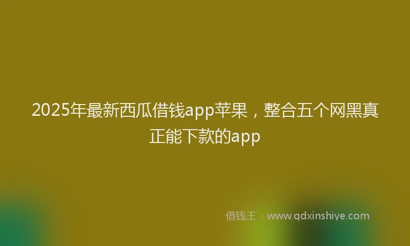 2025年最新西瓜借钱app苹果，整合五个网黑真正能下款的app