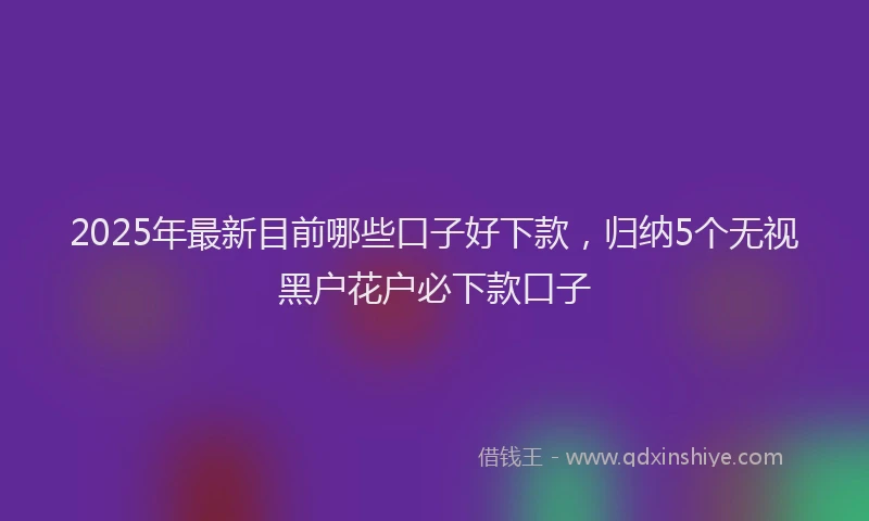 2025年最新目前哪些口子好下款，归纳5个无视黑户花户必下款口子
