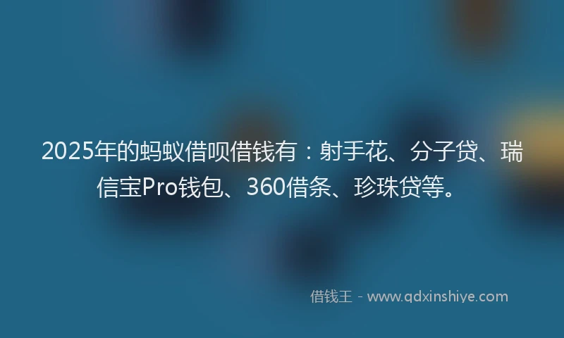 2025年的蚂蚁借呗借钱有：射手花、分子贷、瑞信宝Pro钱包、360借条、珍珠贷等。