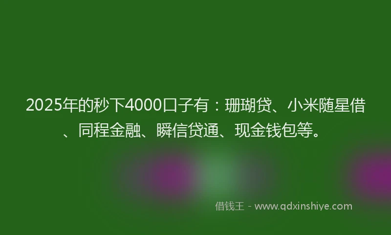2025年的秒下4000口子有：珊瑚贷、小米随星借、同程金融、瞬信贷通、现金钱包等。