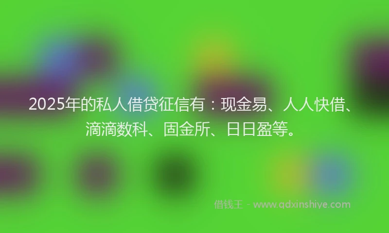 2025年的私人借贷征信有：现金易、人人快借、滴滴数科、固金所、日日盈等。