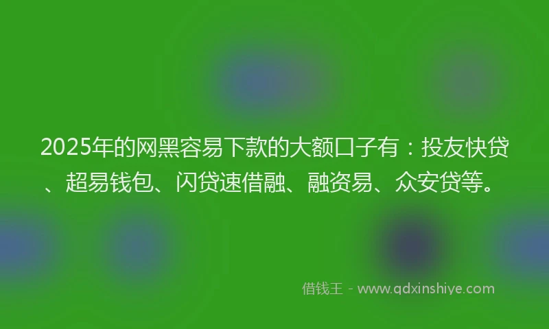 2025年的网黑容易下款的大额口子有：投友快贷、超易钱包、闪贷速借融、融资易、众安贷等。