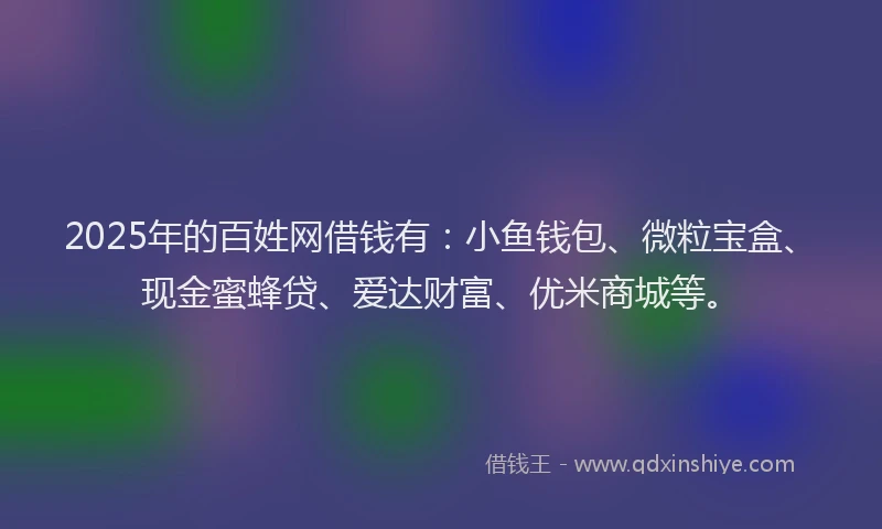 2025年的百姓网借钱有：小鱼钱包、微粒宝盒、现金蜜蜂贷、爱达财富、优米商城等。